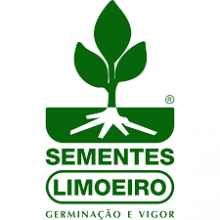 Sementes Limoeiro