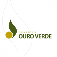 Sementes Ouro Verde